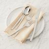 ZWILLING Opus 45-Piece Flatware Set view 4
