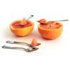 GRAPEFRUIT SPOONS SET OF 4 view 2