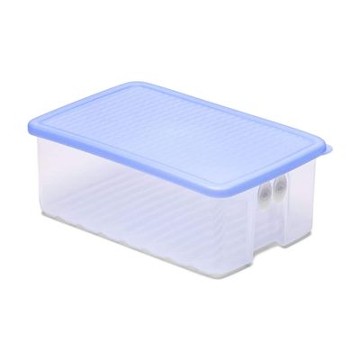 Tupperware Fridgesmart, Medium