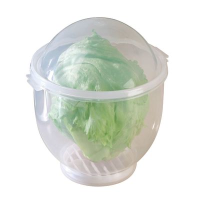 WalterDrake Lettuce KeeperTM - Lettuce Crisper Salad Keeper Container Keeps your Salads and Vegetables Crisp and Fresh- 7" X 8"