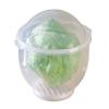 WalterDrake Lettuce KeeperTM - Lettuce Crisper Salad Keeper Container Keeps your Salads and Vegetables Crisp and Fresh- 7" X 8" view 1