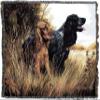 Pure Country Weavers Cocker Spaniel Dog Woven Blanket by Robert May - Gift Cotton Tapestry Throw - Made in The USA - 72" x 54" view 2