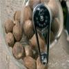 Peugeot 19501 Tidore Nutmeg Mill, Clear Acrylic view 2