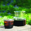 Toddy Cold Brew System view 3