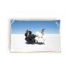 Galison Gray Malin Llamas Porcelain Tray view 1