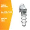 Woods L1707SV Traditional 150W Incandescent Weather Industrial Light, Wall Mount, Silver,Large view 3