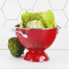 Calypso Basics by Reston Lloyd Powder Coated Enameled Colander, 1.5 Quart, Red view 3
