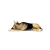 Conversation Concepts German Shepherd Figurine Tan-Black MyDog view 3