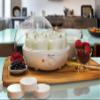 Euro Cuisine YM80 Electric Yogurt Maker Machine- Promote Gut Health with Probiotic Rich Homemade Yogurt -Home Yogurt Incubator with Glass Jars, White view 3