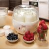 Euro Cuisine YM80 Electric Yogurt Maker Machine- Promote Gut Health with Probiotic Rich Homemade Yogurt -Home Yogurt Incubator with Glass Jars, White view 4