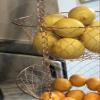 Fox Run 3-Tier Copper Kitchen Hanging Fruit Baskets, 32 Inches view 3