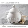 Fox Run Garlic Keeper and Storage, White Ceramic, 5.25" x 4.25" x 5.5" view 3