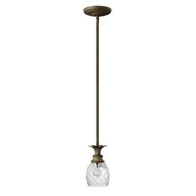 Hinkley Plantation Extra Small Single Pendant Light - Pineapple Design, Clear Optic Glass, Adjustable Height - Pearl Bronze Finish