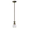 Hinkley Plantation Extra Small Single Pendant Light - Pineapple Design, Clear Optic Glass, Adjustable Height - Pearl Bronze Finish view 1