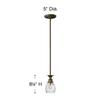 Hinkley Plantation Extra Small Single Pendant Light - Pineapple Design, Clear Optic Glass, Adjustable Height - Pearl Bronze Finish view 2