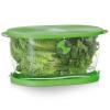 Prep Solutions by Progressive Lettuce Keeper Produce Storage Container, 4.7 Quarts, Green (LKS-06) view 1