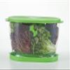 Prep Solutions by Progressive Lettuce Keeper Produce Storage Container, 4.7 Quarts, Green (LKS-06) view 3