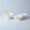 Lenox 792566 Butterfly Meadow 4-Piece Rice Bowl Set , White view 3