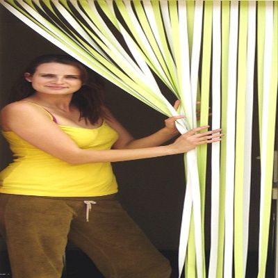 Holland Plastics Original Brand Slat Type Door Curtain Bug Fly Strip Blind Lime Green & White