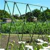 Apollo 4 x 2m Pea and Bean Net with 153mm Mesh view 3