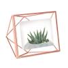 Umbra Prisma Picture Frame, 4x6 Metal Photo Display for Desk or Wall, 4" x 6", Copper view 1