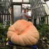 Compost Tea Aerator - The BubbleSnake : 5 Gallon Bucket Aerator view 3