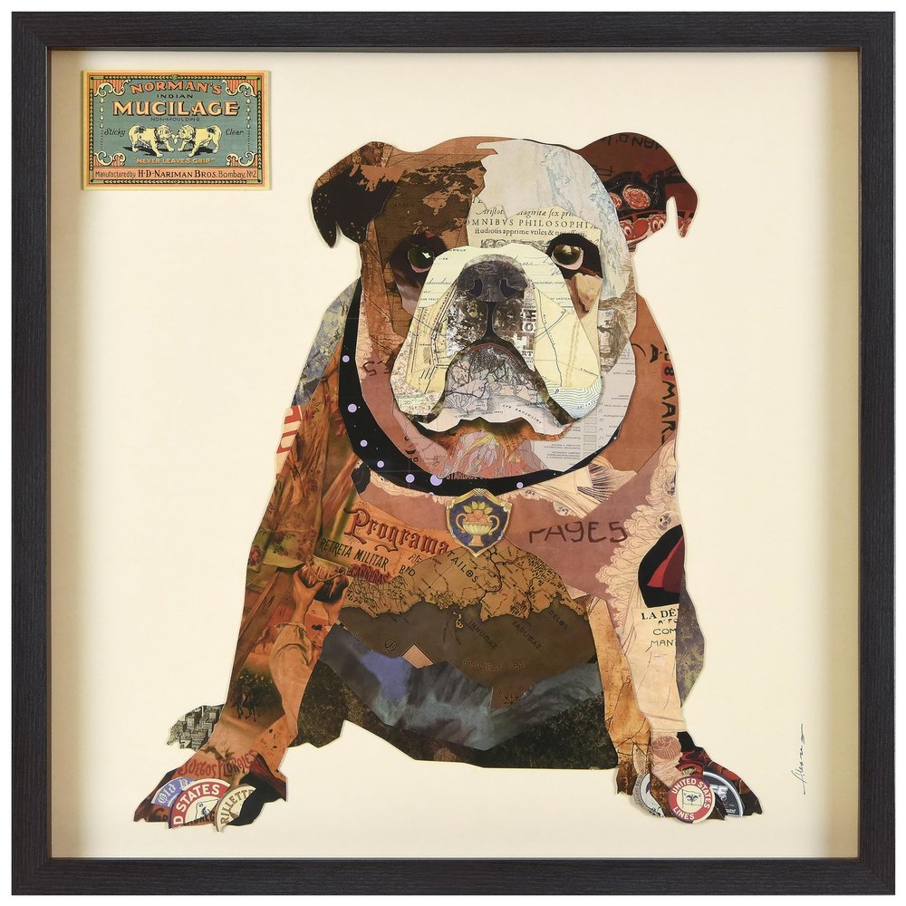 Empire Art Direct Men's Best Bully Dimensional Collage Framed Graphic Paper Under Glass Wall Art by Alex Zeng Ready to Hang, 25" x 25"