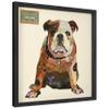 Empire Art Direct Men's Best Bully Dimensional Collage Framed Graphic Paper Under Glass Wall Art by Alex Zeng Ready to Hang, 25" x 25" view 3