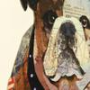 Empire Art Direct Men's Best Bully Dimensional Collage Framed Graphic Paper Under Glass Wall Art by Alex Zeng Ready to Hang, 25" x 25" view 4