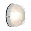 Nauticus - Round 7"dia Wet Location Bulkhead - Satin Finish - Frosted Glass Shade view 2