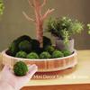 BYHER Natural Green Moss Decorative Ball,Handmade (2"-Set of 12) view 2