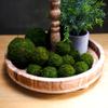 BYHER Natural Green Moss Decorative Ball,Handmade (2"-Set of 12) view 3