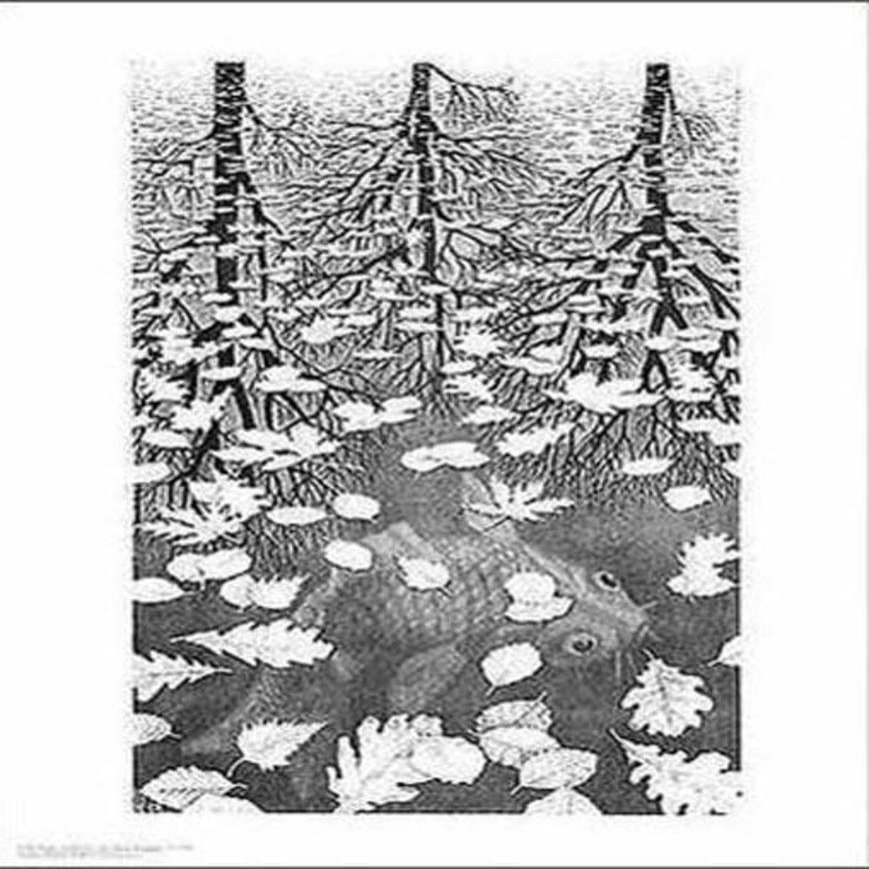 Three Worlds Art Poster Print by M. C. Escher, 11x14
