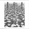 Three Worlds Art Poster Print by M. C. Escher, 11x14 view 1
