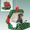 Doberman Pinscher Gift Box Christmas Ornament Red Uncropped - Delightful! view 1