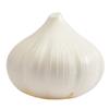 Hutzler Garlic Saver,White view 4