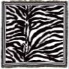Pure Country Weavers Zebra Skin Blanket - Wildlife Gift Tapestry Throw Woven from Cotton - Made in The USA (72x54) view 4