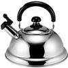 Quickone Takei Energy-Saving Fuefuki Whistle Kettle, 2.5 L, Silver view 1