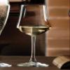 Lorenzo Ego-White Wine Goblet (Pack of 6), Clear view 3