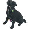 Sandicast Black Labrador Retriever with Holiday Lights Christmas Ornament, Multicolor (XSO012) view 1