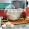 Euro Cuisine YM100 Automatic Yogurt Maker with 7 - 6oz Glass Jars & 15 Hour Timer, Electric Yogurt Maker with Auto Shut Off, Promote Gut Health view 2