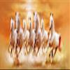 Art Factory Seven Horse Canvas Painting Vastu Painting view 1