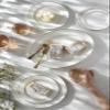 Lenox 806499 Opal Innocence Stripe Salad Plate view 4