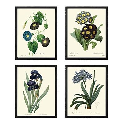 Blue Flowers Wall Art Botanical Print Set of 4 Unframed Antique Blue Morning Glory Primula Primrose Iris Agapanthus Lily of the Nile Flowers Gerden Home Room Decor LoveThePrint