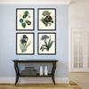 Blue Flowers Wall Art Botanical Print Set of 4 Unframed Antique Blue Morning Glory Primula Primrose Iris Agapanthus Lily of the Nile Flowers Gerden Home Room Decor LoveThePrint view 4
