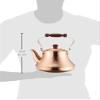 Pure copper Classy Kettle 2.5L TY-8325 2725ao by Takegoshi industry view 2