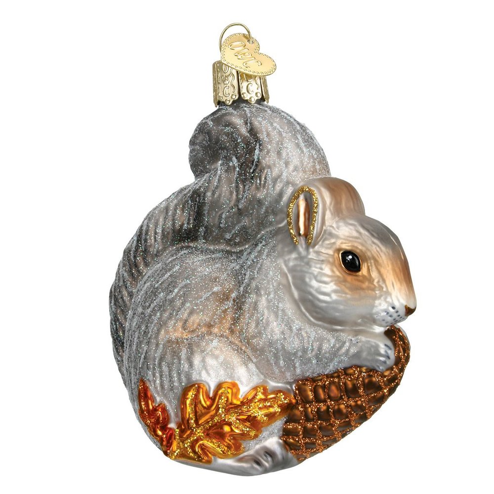 Old World Christmas Hungry Squirrel Glass Blown Ornament for Christmas Tree, Handcrafted Holiday Decoration, Wildlife Animal Collection