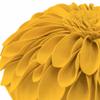 JWH 3D Flower Throw Pillow Cover Decorative Sunflower Accent Case Round Cushion Small Floral Pillowcase for Home Bed Living Room Couch Car 12 Inch Gold Yellow view 3