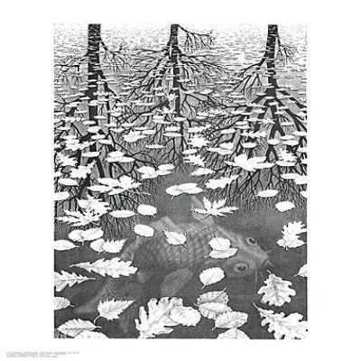 FineArtOnSale.Com Three Worlds by M.C. Escher Art Print Size:21.75"x 25.5"