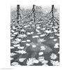 FineArtOnSale.Com Three Worlds by M.C. Escher Art Print Size:21.75"x 25.5" view 1